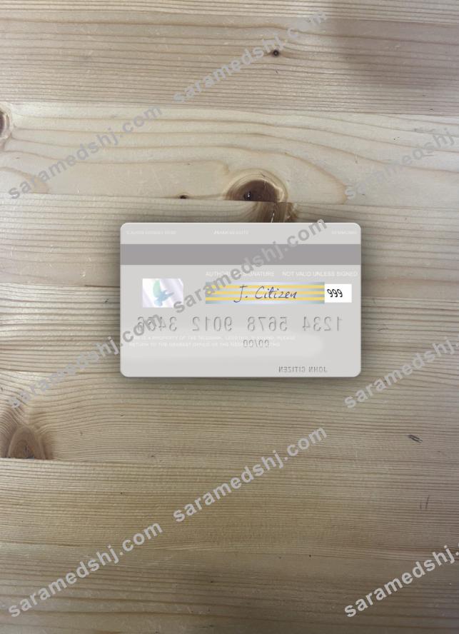 Lesotho Nedbank visa debit card photolook back